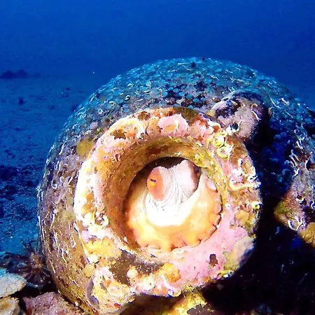 Villa Folegandros Aspropounta Double Beachfront *