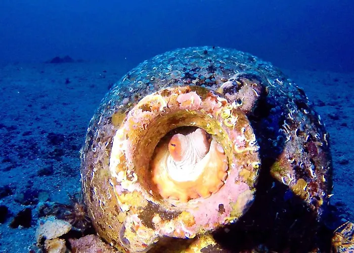 Villa Folegandros Aspropounta Double Beachfront *